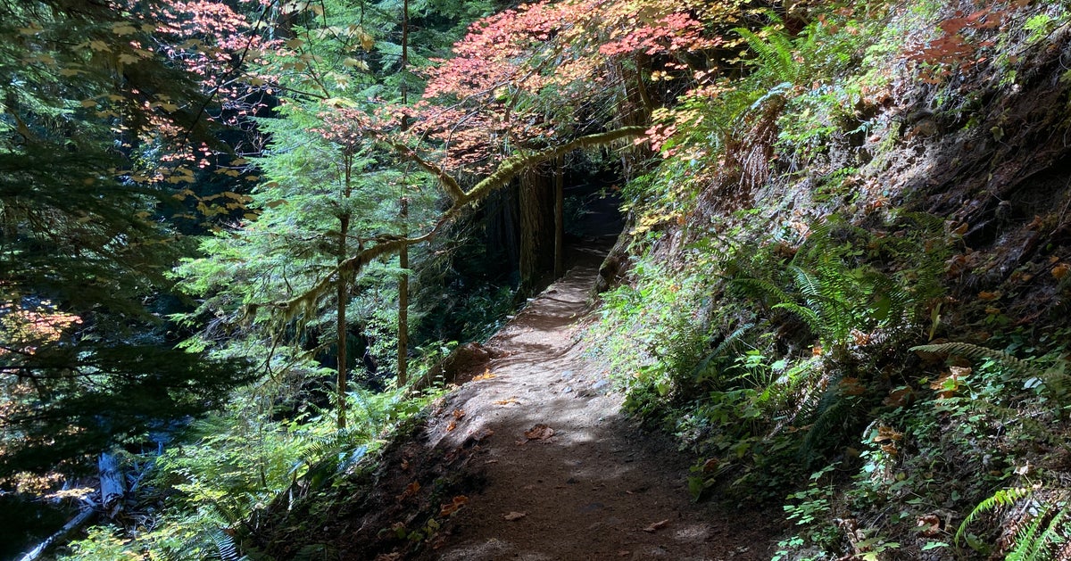 NextImg:2 Dead As Search For Sasquatch Takes Tragic Turn