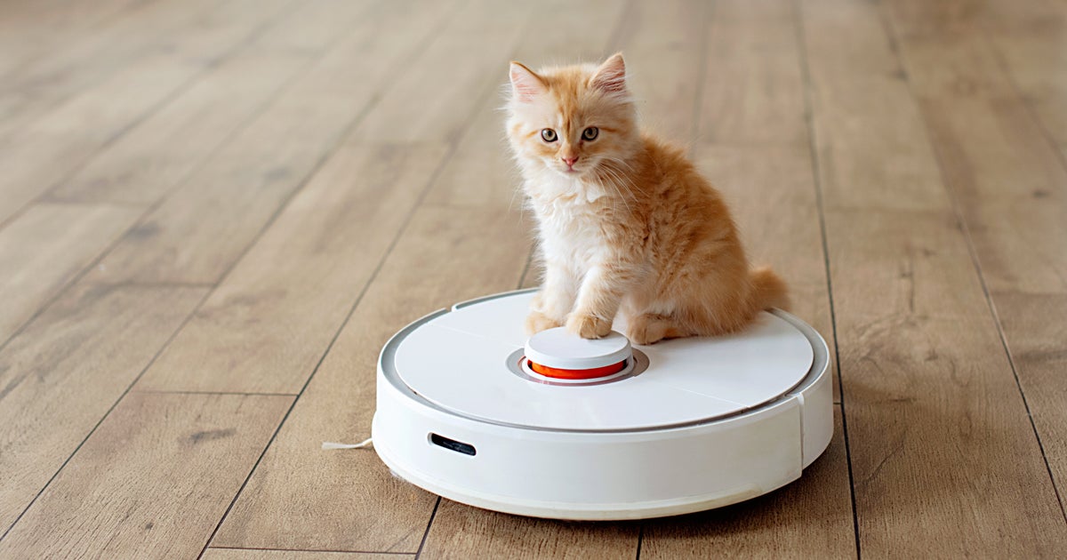 NextImg:Buying A Robot Vacuum? Here Are The Key Differences Among Models