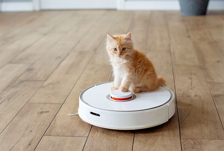 Robot vacuums are increasingly popular home helpers.