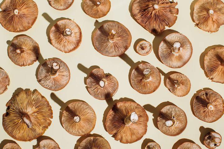 "When mushrooms are exposed to UV light (ultraviolet), they produce some D2," said Megan Lyons, who is double-board-certified as a clinical nutritionist and holistic nutritionist