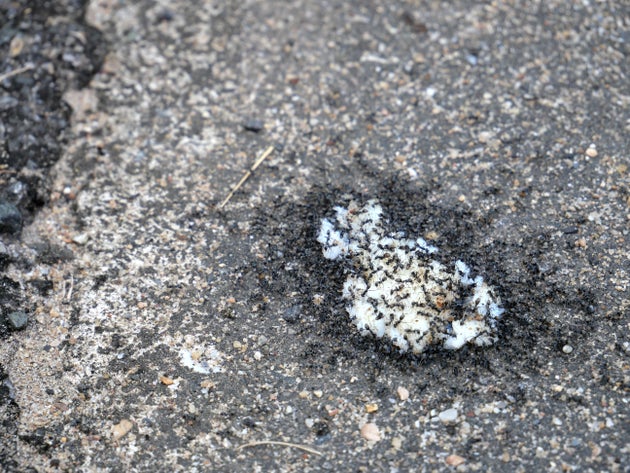 Φωτογραφία Αρχείου.