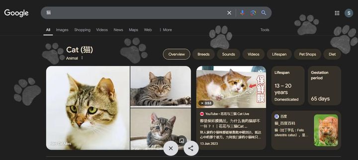 Googleで「猫」と検索すると…