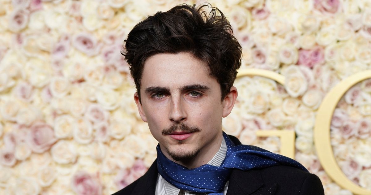 Timothée Chalamet To Host And Be Musical Guest On 'SNL' Later This Month