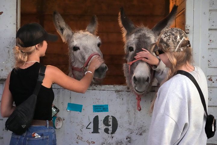 Horse owners Joycelyn Writer, left, and Rachel Granger, pet donkeys that have found temporary shelter at the Los Angeles Equestrian Center in Burbank, Calif., Thursday, Jan. 9, 2025. (AP Photo/Damian Dovarganes)