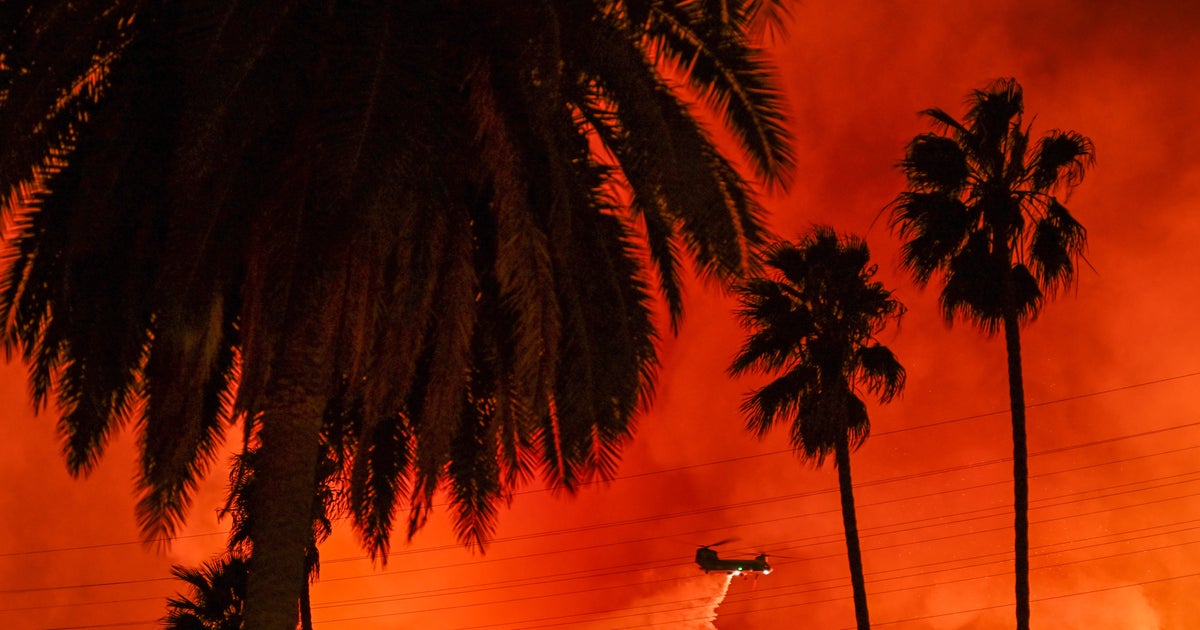 Wildfires in LA