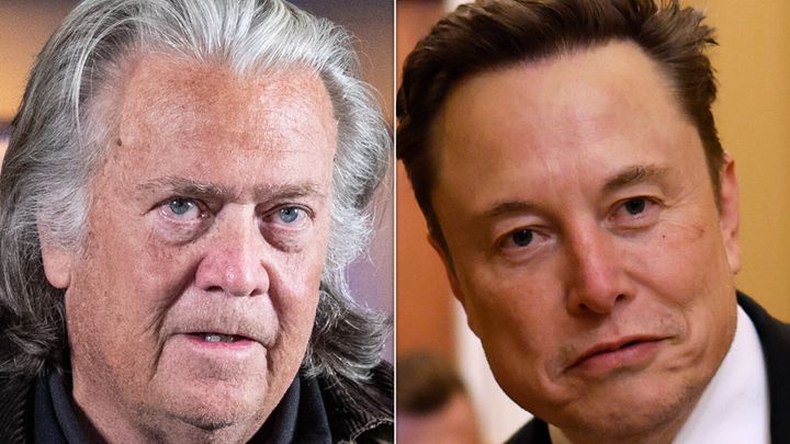 Steve Bannon and Elon Musk