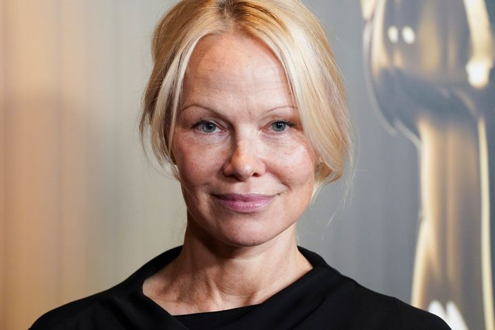 Pamela Anderson pictured in November 2024