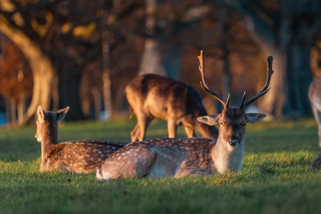 Φωτογραφία αρχείου.