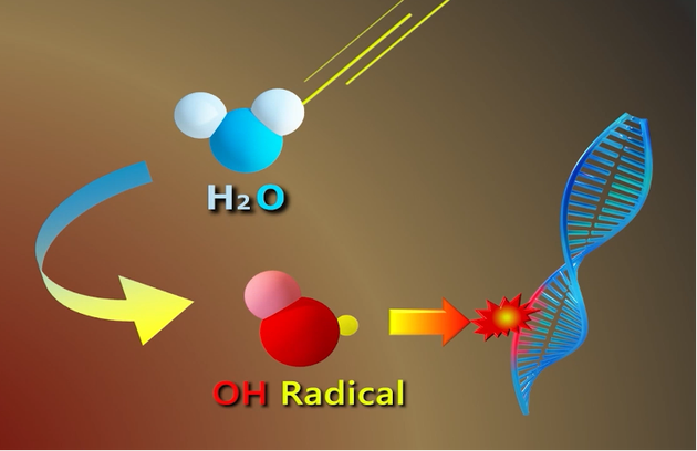 放射線治療の仕組み