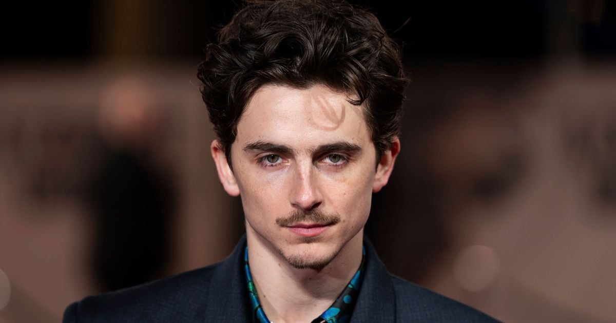 Timothée Chalamet Certainly Made A Dramatic Entrance At A Complete Unknown's London Premiere