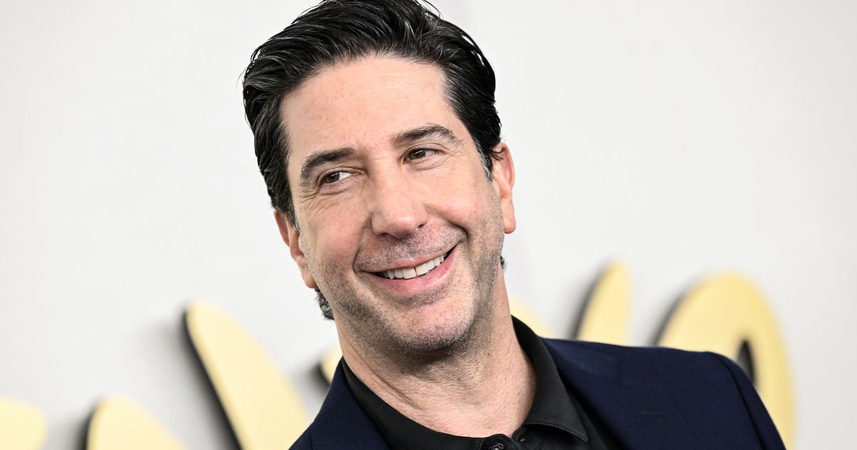 David Schwimmer Says He'd 'Blocked' This 'Inappropriate' Role From His Memory