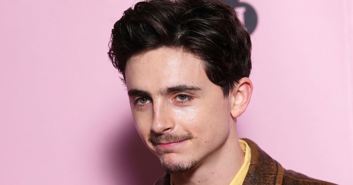 This Is Why Timothée Chalamet Was Slapped With A Fine For His Latest Red Carpet Stunt