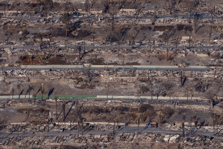 Homes destroyed by the Palisades fire in the Pacific Palisades area of Los Angeles are seen Wednesday.