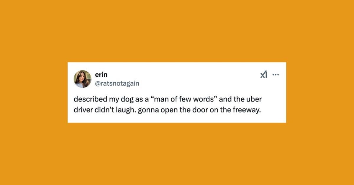 NextImg:21 Of The Funniest Tweets About Cats And Dogs This Week