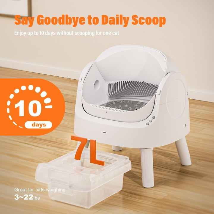 Grab the self-cleaning, odor-reducing litter box while it's $100 off.