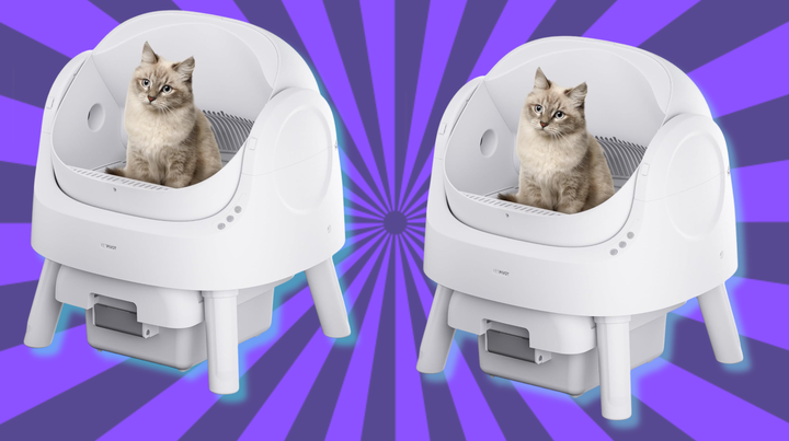 The Autoscooper 11 self cleaning litter box is $100 off today. 