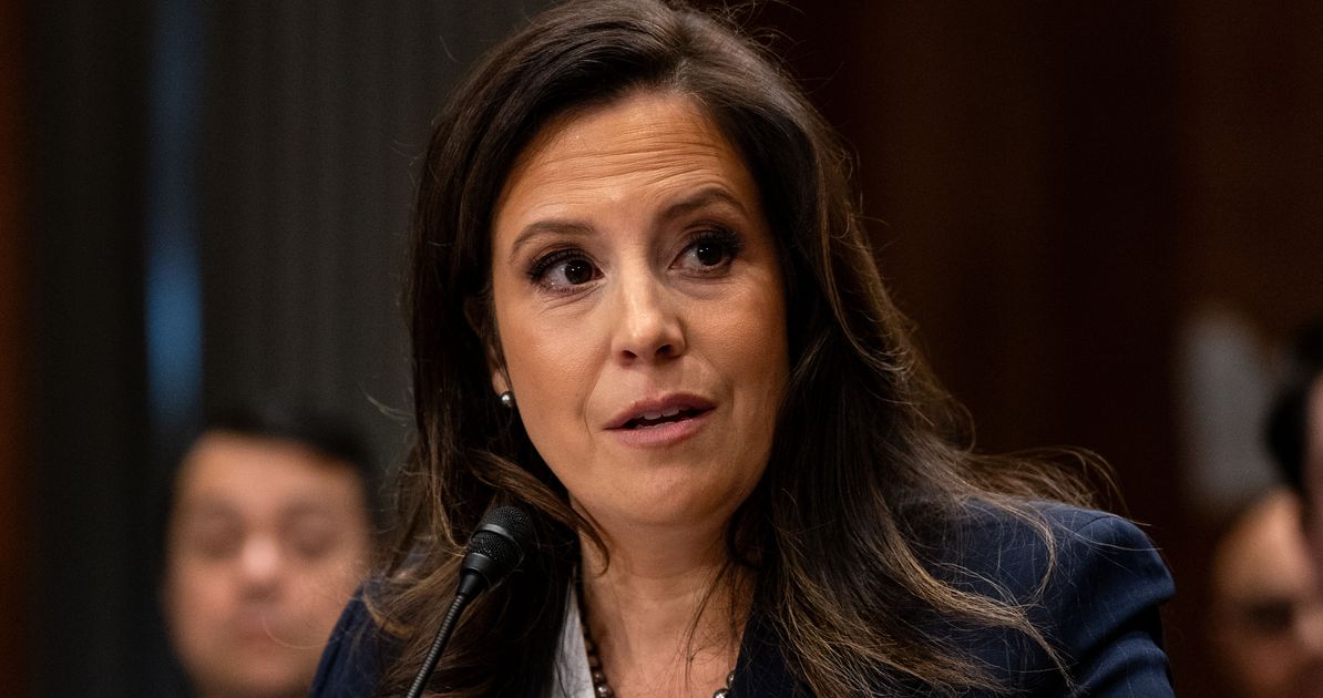 United Nations Nominee Elise Stefanik Says Elon Musk Did Not 'Heil Hitler'