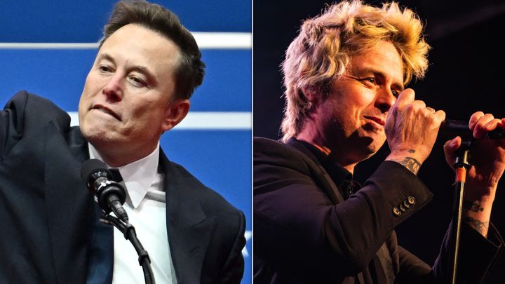 Elon Musk and Green Day singer Billie Joe Armstrong