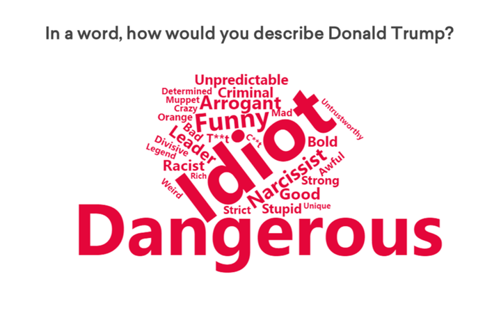 The More in Common word cloud on Trump.