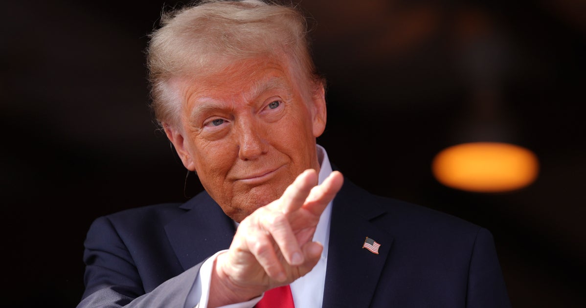 NextImg:Trump Guts Key Aviation Safety Committee, Fires Heads Of TSA, Coast Guard