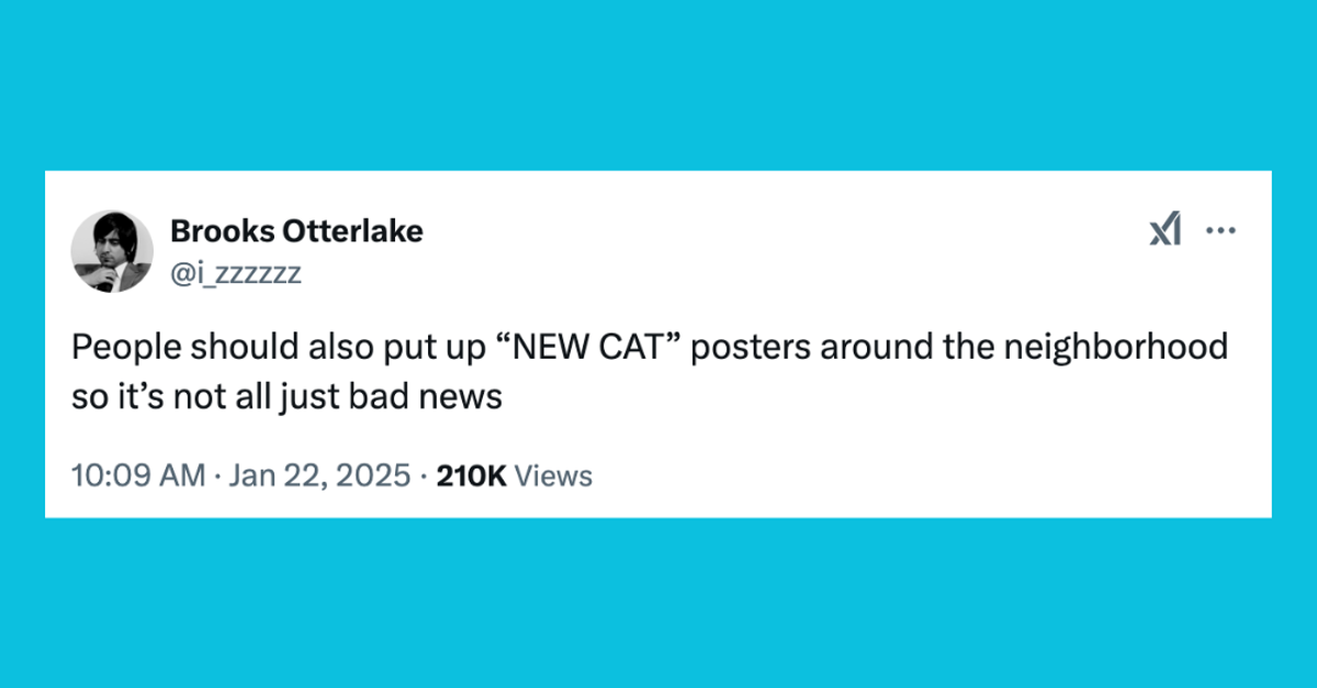 24 Of The Funniest Tweets About Cats And Dogs This Week (Jan. 18-24)
