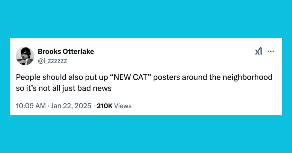 24 Of The Funniest Tweets About Cats And Dogs This Week (Jan. 18-24)