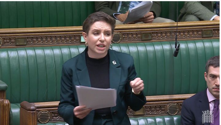 Green Party co-leader Carla Denyer in the Commons today