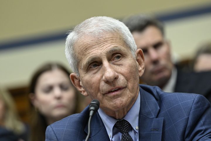 Dr. Anthony Fauci testifies during the House Oversight and Accountability Subcommittee on the Coronavirus Pandemic last June.