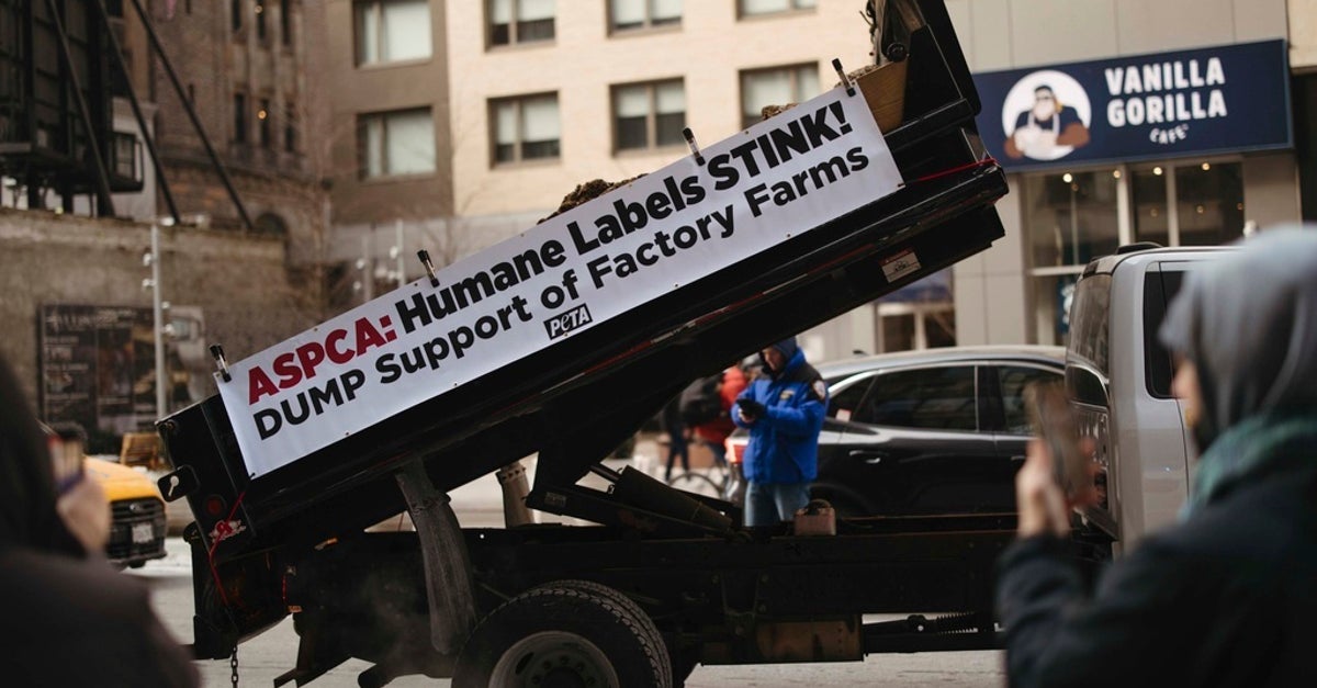 NextImg:PETA Activists Arrested While Trying To Dump Manure Outside ASPCA Office
