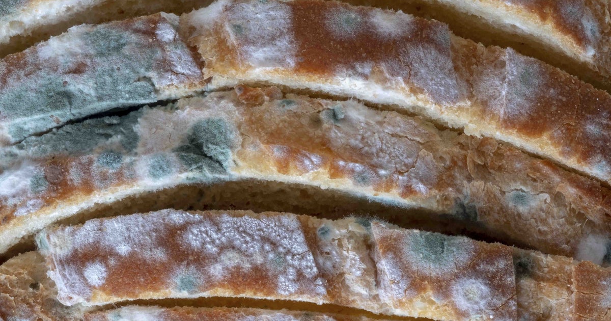 How To Tell If Moldy Bread Is Safe To Eat
