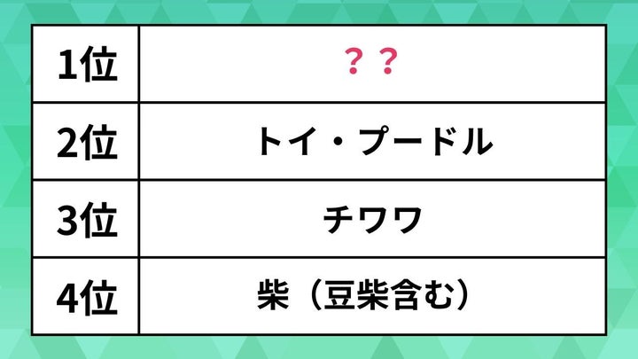 人気犬種ランキング