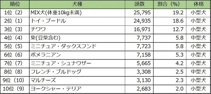 人気犬種ランキング