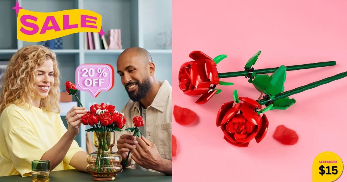 Valentine’s Day Roses Lego Sets Are 20% Off - Zeteat.com
