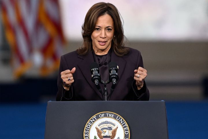 Kamala Harris concedes the presidential race to Donald Trump on Nov. 6, 2024. The Democratic National Committee election is the party's first major election after that defeat.