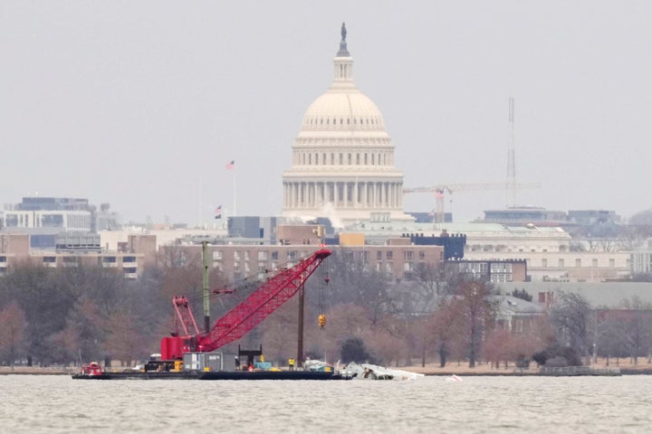 A crane sits in the Potomac river on Sunday with the U.S. Capitol in the background.