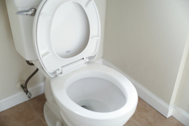 Toilet with lid open
