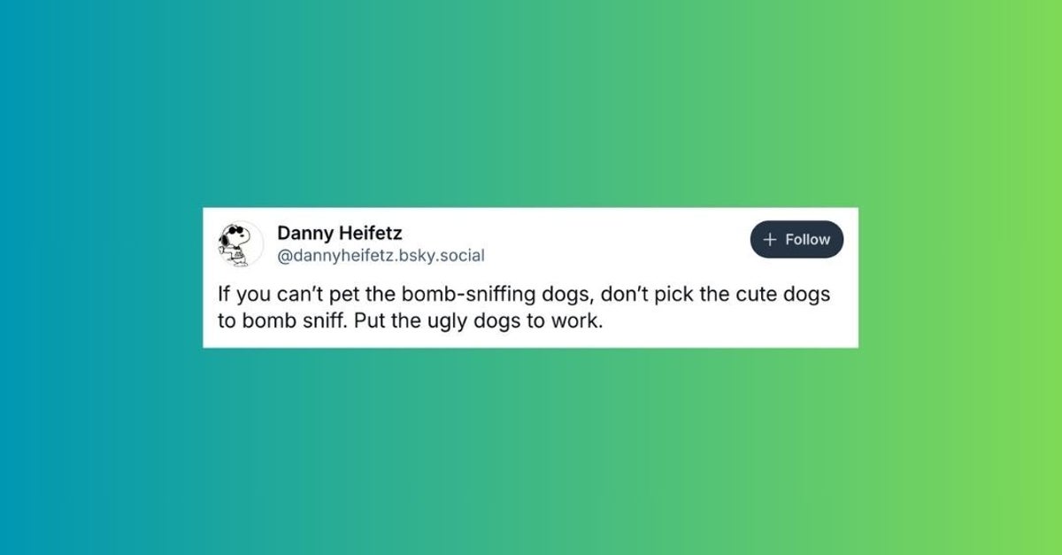 NextImg:24 Of The Funniest Posts About Cats And Dogs This Week