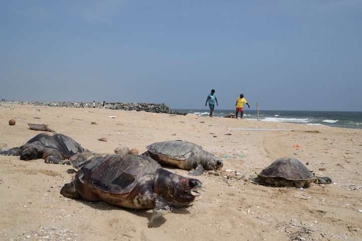 (AP Photo/Mahesh Kumar A.)