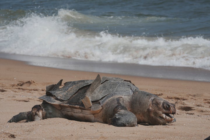 (AP Photo/Mahesh Kumar A.)