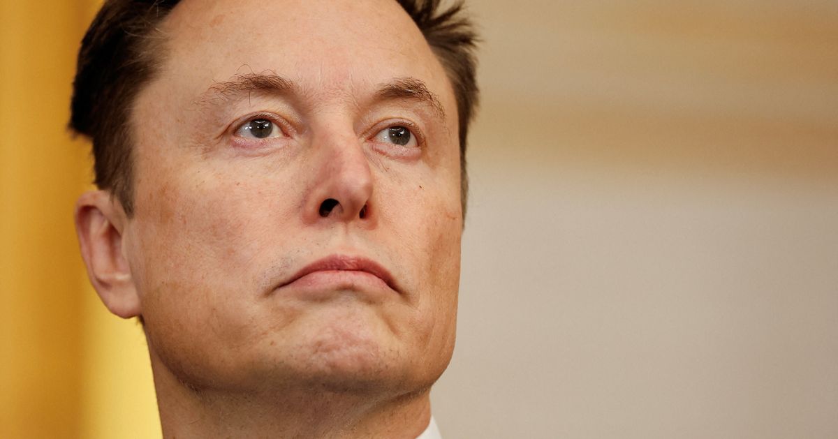 How Elon Musk's Crusade Against Government Could Benefit Tesla