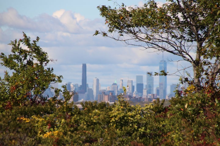 Jamaica Bay, Photo: Christina Horsten/dpa (Photo by Christina Horsten/picture alliance via Getty Images)