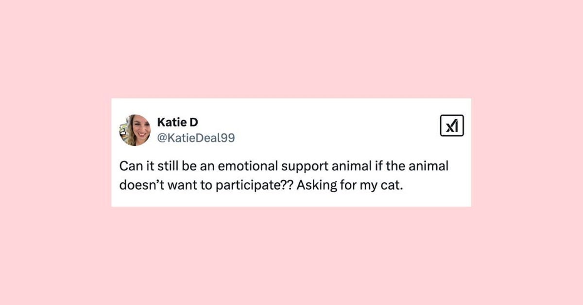 NextImg:23 Of The Funniest Posts About Cats And Dogs This Week