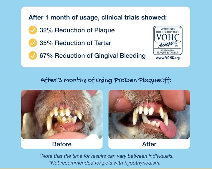 Plaque Off powder is approved by The Veterinary Oral Health Council.