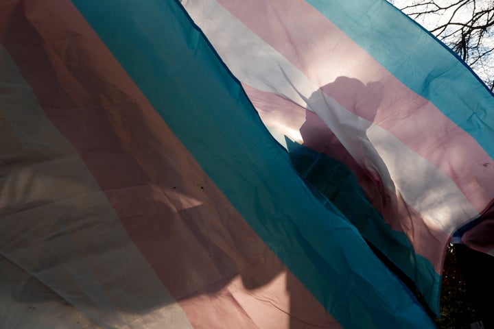 FILE - A protester is silhouetted against a trans pride flag during a pro-transgender rights protest outside of Seattle Children's Hospital, in Seattle, Feb. 9, 2025. (AP Photo/Lindsey Wasson, File)