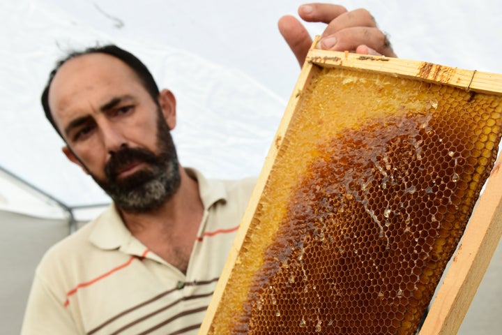 Ένας μελισσοκόμος δείχνει μια κηρήθρα, καθώς εργάζονται για την παραγωγή μελιού στο βουνό Hayal, ύψους 2800 μέτρων, στην περιοχή Ozalp του Van, στην Τουρκία, στις 20 Οκτωβρίου 2024. (Photo by Ali Ihsan Ozturk/Anadolu via Getty Images)