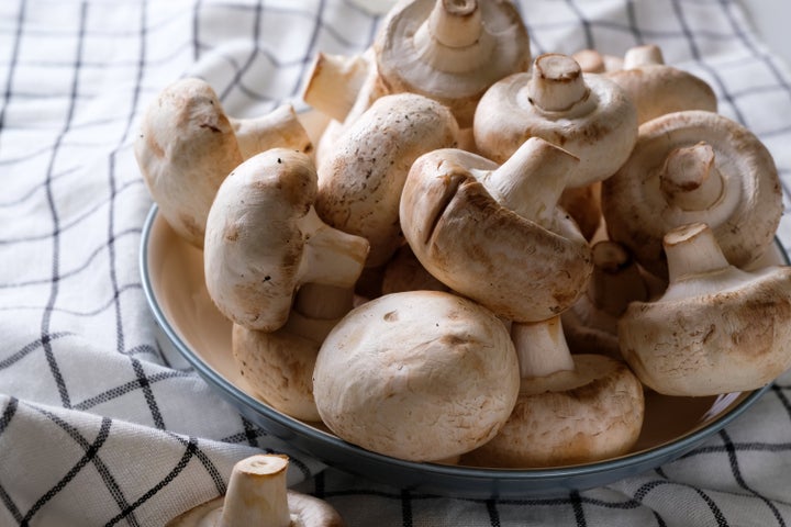 Porous mushrooms provide a moist environment where bacteria can thrive.
