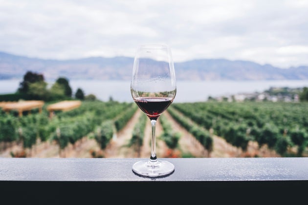Do gold labels mean anything? Wine experts have their say. 