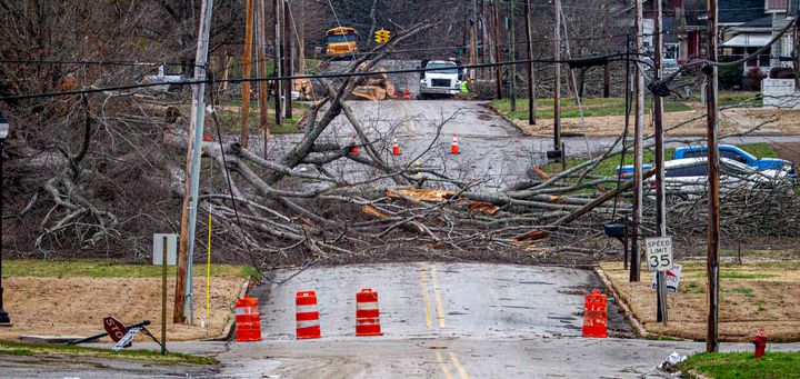 Downed trees cover the roadway toward South Jefferson Street from severe weather in downtown Tuscumbia, Ala., Sunday, Feb. 16, 2025.(Dan Busey/The TimesDaily via AP)