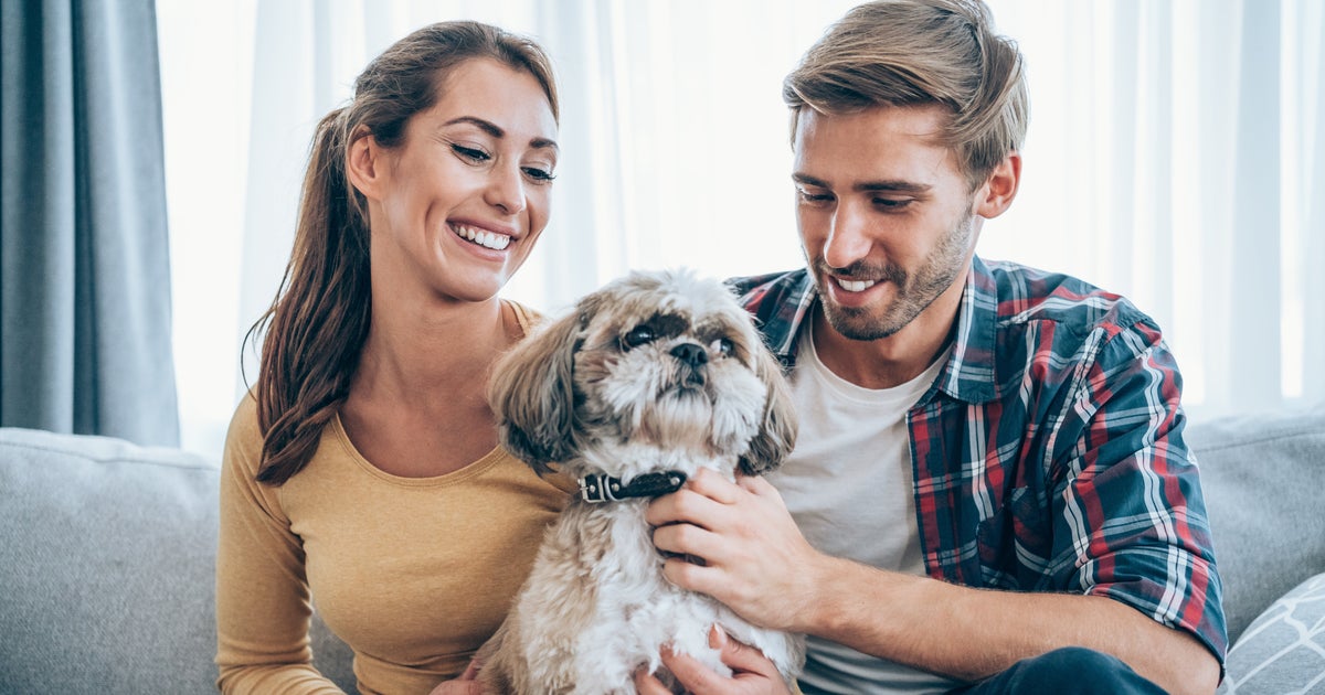 NextImg:What To Do If Your Pet Doesn't Like Your New Partner