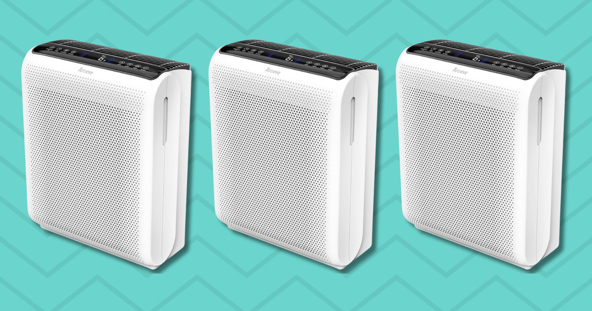 NextImg:This Popular Large-Room Air Purifier Is Somehow Less Than $70 Right Now